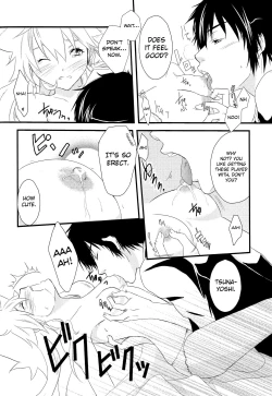 Page 20 of Dimorphotheca