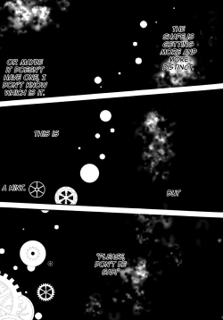 Page 5 of Dimorphotheca