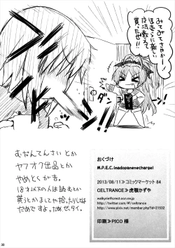 Page 30 of M.P.E.C. - Madopanenecharge