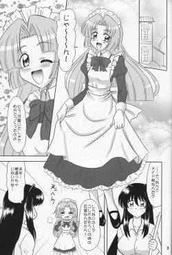 Page 2 of Indomame
