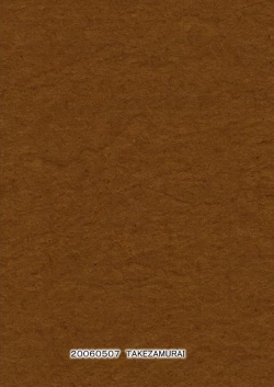 Page 14 of meet again