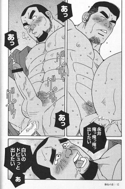 Page 13 of Kachiiro no Koi