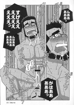 Page 231 of Kachiiro no Koi