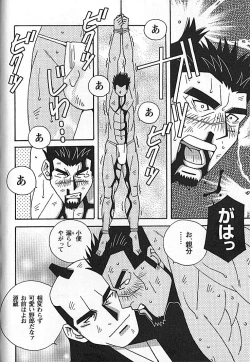 Page 81 of Kachiiro no Koi