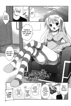 Page 3 of Imouto wo Iinari ni Shite Mitai!