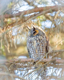 Page 17 of Suki tte itte!