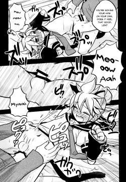 Page 15 of Matamata Cat