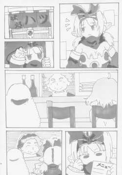 Page 33 of Lrig Kenkyuu Nisshi 2016 Nenmatsu Tokudaigou