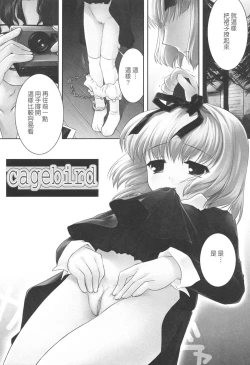 Page 151 of Slow Step