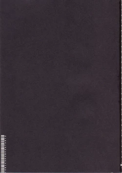 Page 2 of Torikomonogatari 2