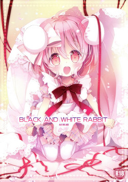 Download BLACK AND WHITE RABBIT Soushuuhen