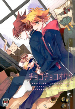 (HaruCC19) [4DIP (Tarte)] Chokochoko Osake (Cardfight!! Vanguard)