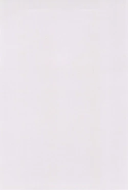 Page 4 of Sen ni Hitotsu no Nijuusou