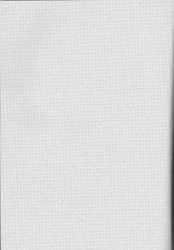 Page 4 of honey bunny