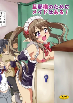 Page 1 of Danna-sama no Tame ni Maid wa Aru!