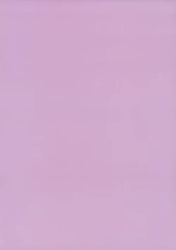 Page 2 of Costte Asobo.