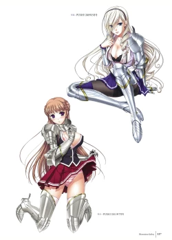 Page 119 of Walkure Romanze Visual Fan Book