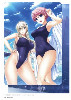 Page 128 of Walkure Romanze Visual Fan Book