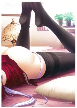 Page 131 of Walkure Romanze Visual Fan Book