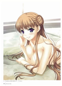 Page 136 of Walkure Romanze Visual Fan Book