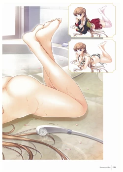 Page 137 of Walkure Romanze Visual Fan Book