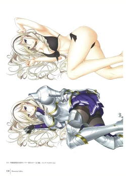 Page 140 of Walkure Romanze Visual Fan Book