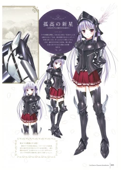 Page 25 of Walkure Romanze Visual Fan Book