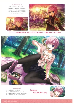 Page 40 of Walkure Romanze Visual Fan Book