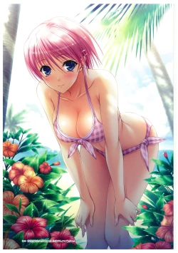 Page 105 of Walkure Romanze More & More Visual Fan Book