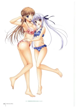 Page 106 of Walkure Romanze More & More Visual Fan Book