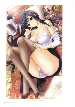 Page 110 of Walkure Romanze More & More Visual Fan Book