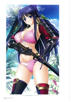 Page 118 of Walkure Romanze More & More Visual Fan Book