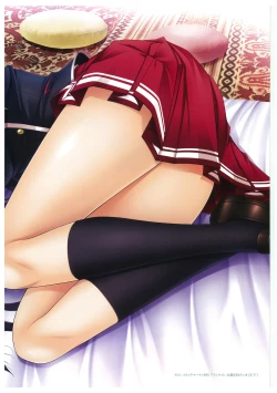 Page 97 of Walkure Romanze More & More Visual Fan Book