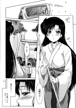 Page 3 of Hiiro no Akari