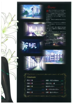 Page 5 of Seishojyo Visual Complete Book