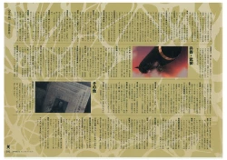 Page 193 of Muramasa