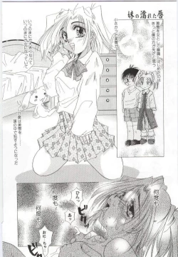 Page 147 of Imouto no nureta kuchibiru