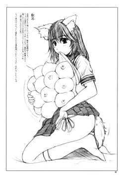 Page 16 of Mousou Note