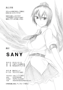 Page 33 of SANY