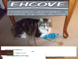 Page 31 of Datte Kemono da mono.