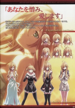 Page 13 of Dies irae Visual Fanbook - Black Book