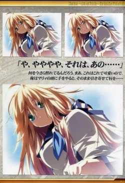 Page 118 of Dies irae Visual Fanbook - White Book