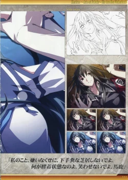 Page 134 of Dies irae Visual Fanbook - White Book