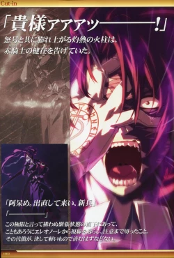 Page 181 of Dies irae Visual Fanbook - White Book