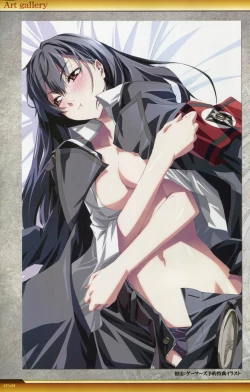 Page 59 of Dies irae Visual Fanbook - White Book