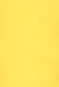 Page 33 of Hinnyuu Musume Vol.3