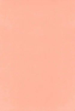 Page 4 of Aryaryagi-san tara Gomutai na 2