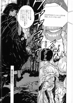 Page 209 of Flamingo 2000-02