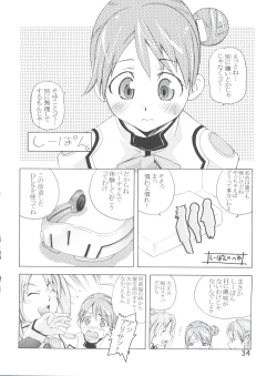 Page 33 of TEPUCHIN II