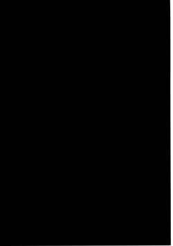 Page 4 of 2B to be Saimin Benki